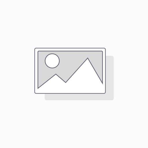 [SOP-N3] Soporte Odoo · Nivel 3 Custom Dev